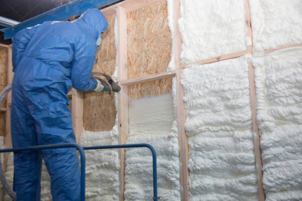 Types of Insulation We Offer in Pendleton, IN